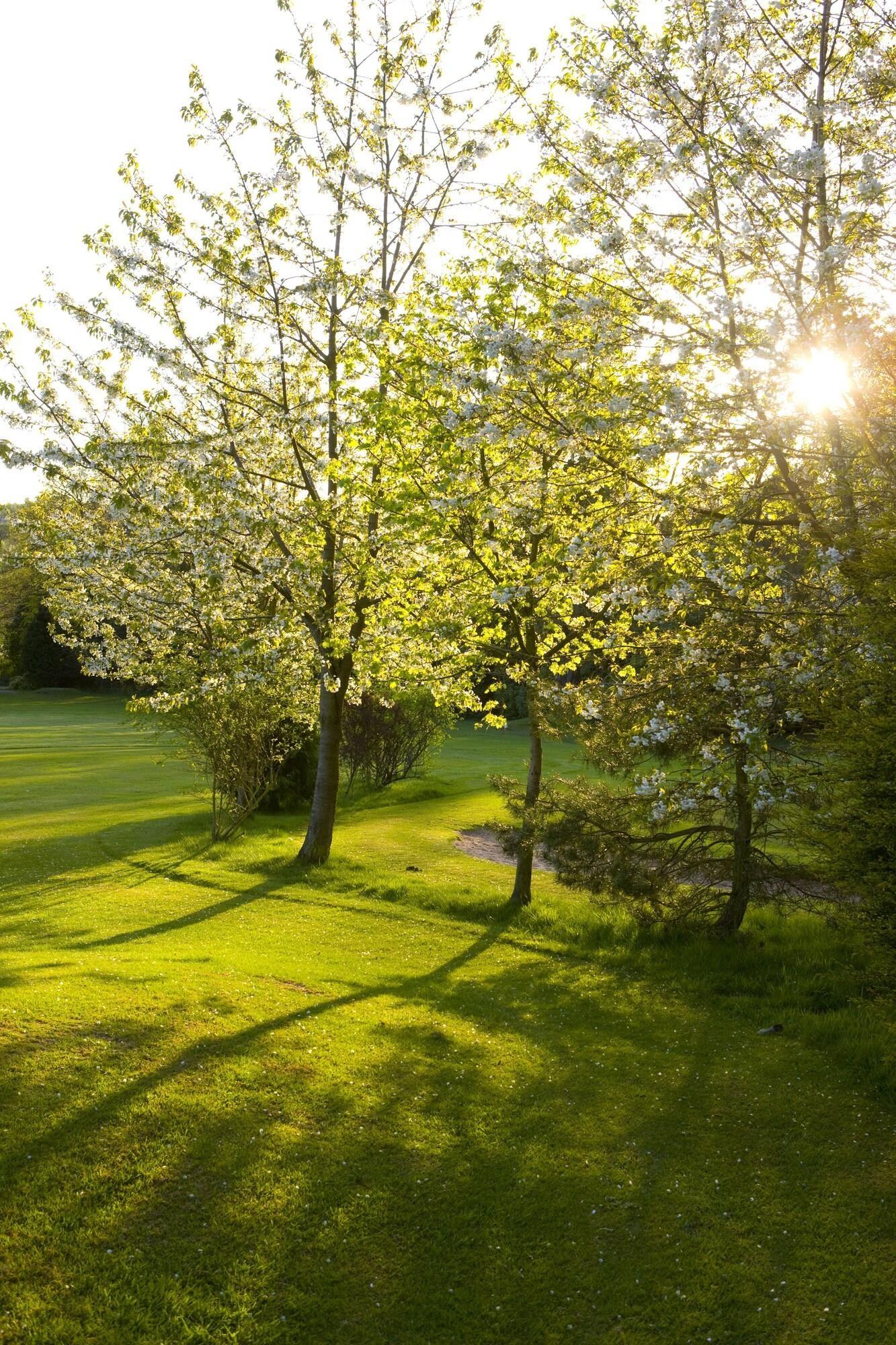 St. Pierre Park Hotel & Golf Saint Peter Port Экстерьер фото